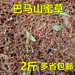 山密草 山蜜草茶甜叶菊 巴马山密草茶 甜凉草乌龙草根茶凉茶2斤