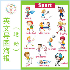 sport运动类儿童英语图片闪卡海报宝宝启蒙小学分类全脑开发14张