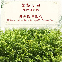 每周一束花品牌店铺