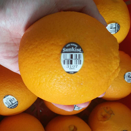 美国新奇士3107橙子进口 黑标品牌店铺