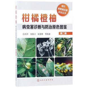 柑橘橙柚病虫害诊断与防治原色图鉴第2版 吕佩珂 等 编著 农业基础