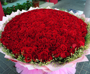 【999朵玫瑰鲜花图片】999朵玫瑰鲜花图片大全_好便宜