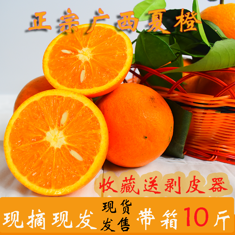 广西夏橙整箱秭归伦晚橙子新鲜水果包邮10斤非赣南脐橙冰糖橙血橙新鲜橙子