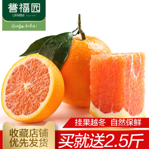 买就送2.5斤 实发5斤 誉福园秭归中华红血橙新鲜水果橙子红肉脐橙新鲜橙子