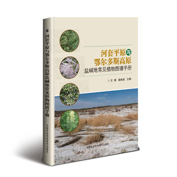【正版包邮】河套平原与鄂尔多斯高原盐碱地常见植物图谱手册 王