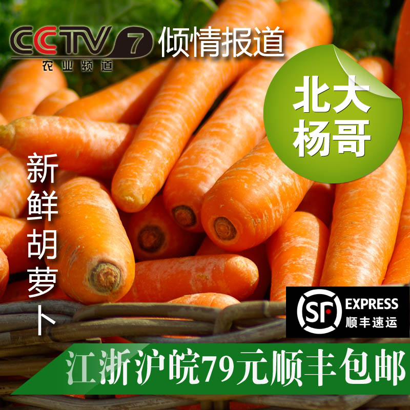 北大杨哥外交官新鲜采摘绿色生态无公害蔬菜胡萝卜500克