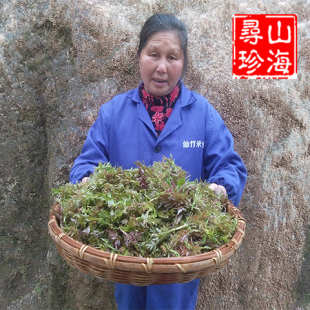 广西藤茶凉茶寿竹根山正品野生莓茶霉茶广西梅华茶九齿蛇葡萄茶