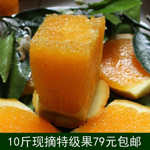 正宗江西赣南脐橙赣南特产10斤特级果新鲜现摘孕妇水果安远甜橙子江西特产
