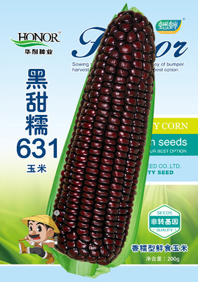 黑糯301玉米种子紫玉米种籽四季大田春季水果黑甜糯631蔬菜种孑