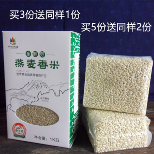 全胚芽裸燕麦米内蒙古第三主粮燕麦仁粟粒 破壁去芒裸燕麦粟米