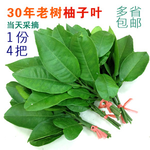 柚子叶去晦气价格