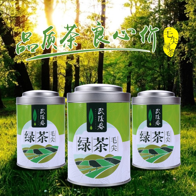 武陵春绿茶毛尖2018新茶明前头采嫩芽头特级毛尖绿茶散装春茶茶叶