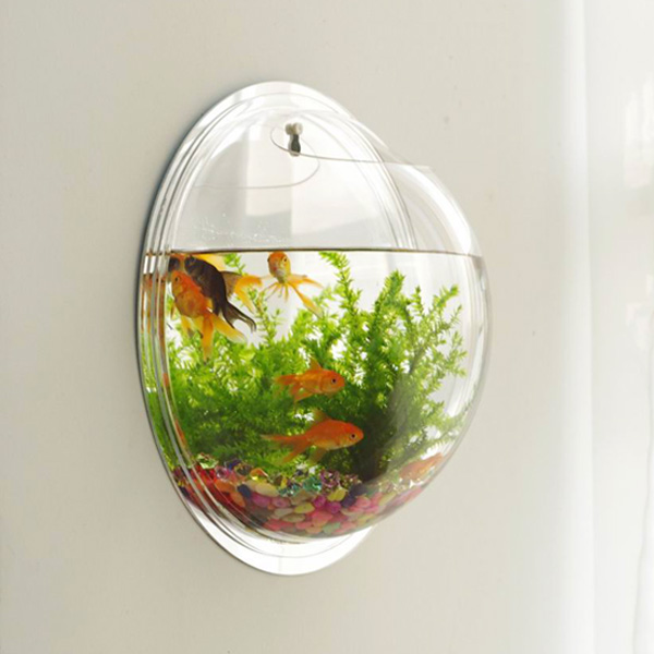 生态水族箱造景亚克力墙面小金鱼缸挂墙鱼缸创意壁挂鱼缸客厅迷你