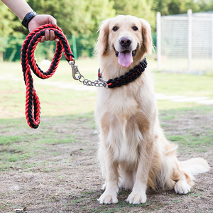 狗链子中型大型犬狗狗牵引绳金毛拉布拉多项圈p链遛狗绳狗狗用品