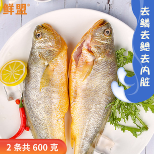 鲜盟宁德三去黄花鱼2条装600g 新鲜冷冻深海小黄鱼水产大黄鱼鲞