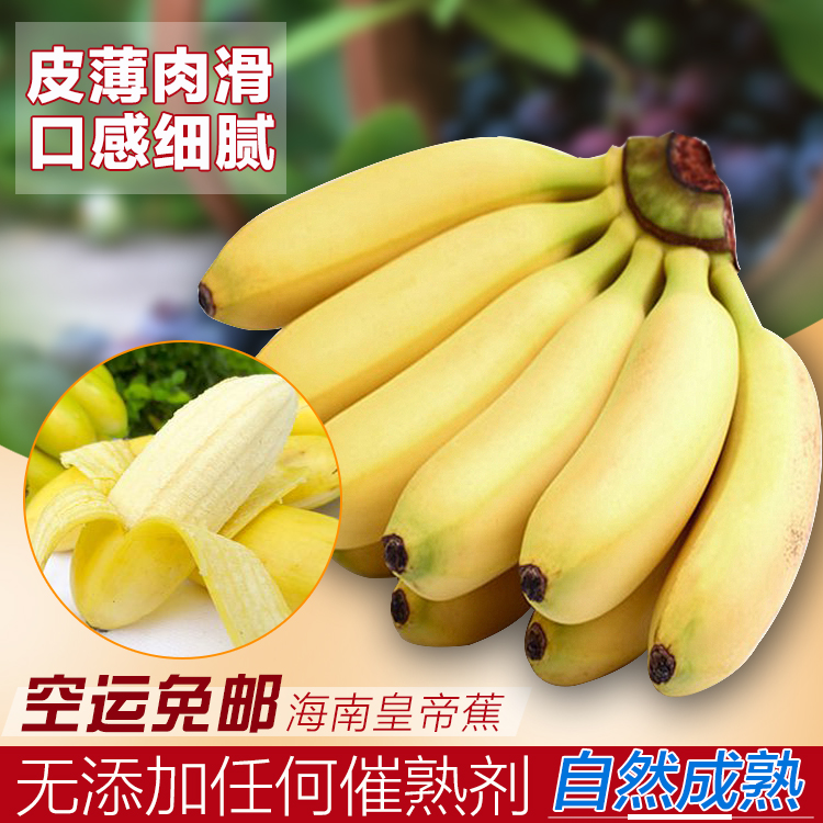 海南新鲜水果海南蕉香蕉水果皇帝蕉小米蕉帝王蕉太子蕉banana5装