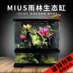 mius妙思雨林缸造景生态缸热带植物树蛙变色龙造景雨林箱超白玻璃