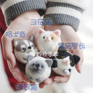 花猫