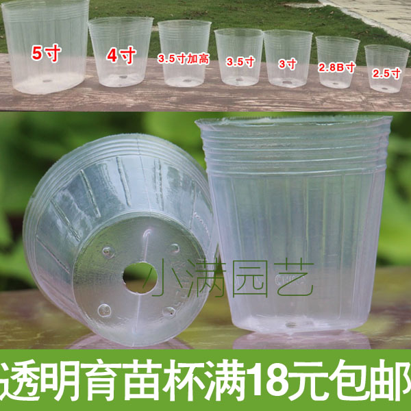 营养杯 蝴蝶兰石斛专用种植盆 盆栽 透明杯子 白色蝴蝶兰育苗杯