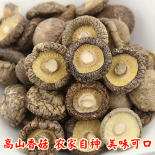 恩施特产小香菇农家自产 香菇野生食用菌蘑菇 椴木黑香菇干货250g