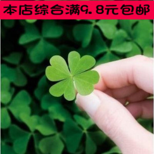 2017新款幸运草_爆款幸运草_幸运草品牌_特价幸运草-图片