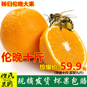 秭归脐橙 伦晚 10斤包邮纽荷尔橙子非赣南橙榨汁新鲜现摘孕妇水果新鲜橙子