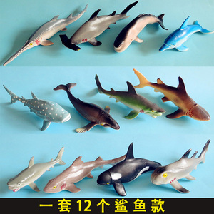 壁纸 动物 鱼 鱼类 300_300