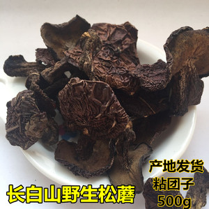 野生菌菇种子图片