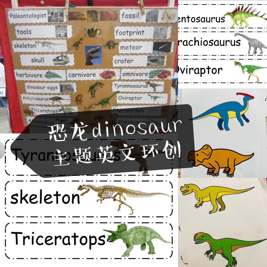 国际学校幼儿园教师教具环创恐龙dinosaur主题活动亲子启蒙英语