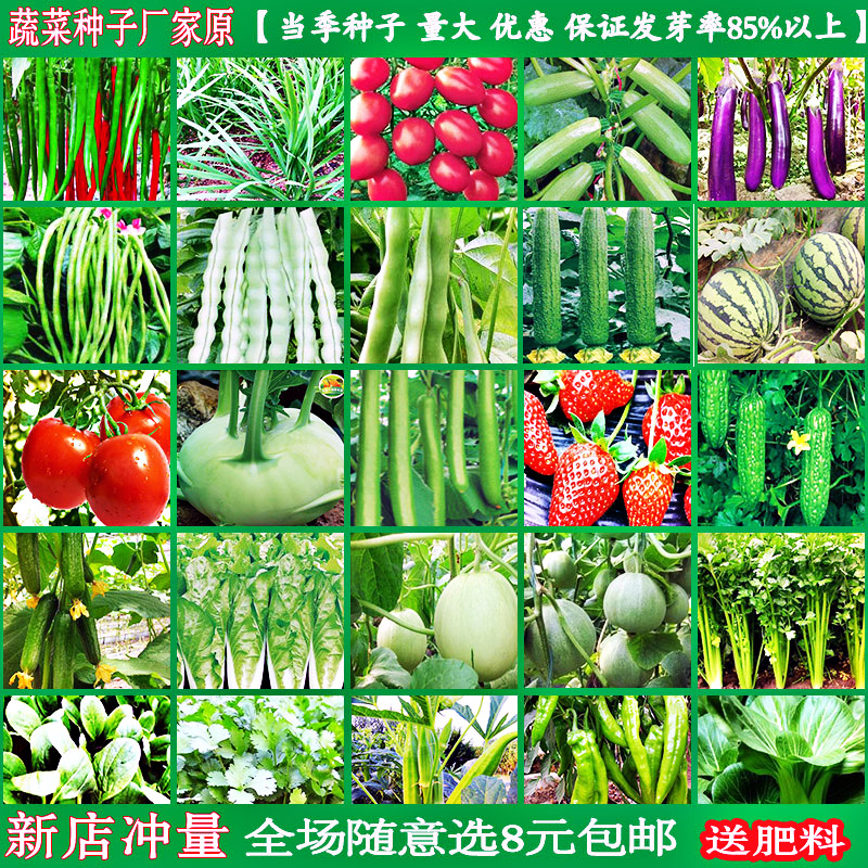 蔬菜种子四季菜种籽盆栽香菜籽韭菜黄瓜西红柿豆角西瓜辣椒种籽