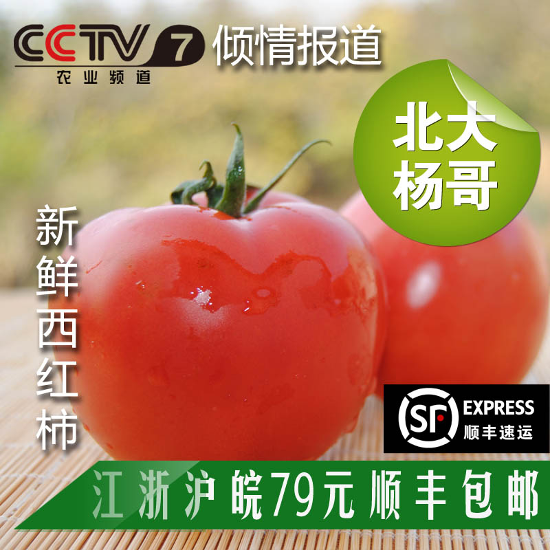 北大杨哥外交官新鲜采摘绿色生态无公害无催熟西红柿番茄500克