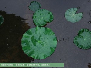 鱼缸仿真水草荷叶 水池装饰 鱼池 span class=h>荷花 /span>莲叶莲花