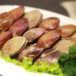 小红贝鲜活海鲜水产500g新鲜小扇贝连云港贝壳类贝类烧烤食材扇贝