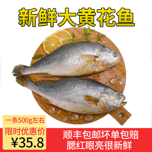 大黄花鱼 span class=h>新鲜 /span>海鱼野生 span class=h>冷冻 