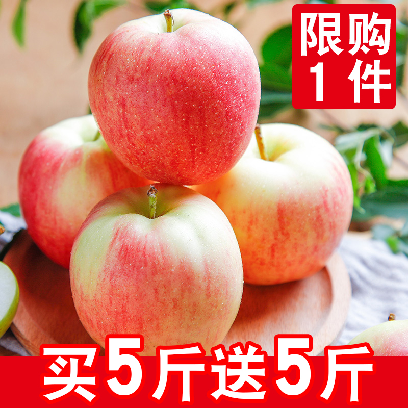 新鲜苹果水果10斤批发包邮当季水果一整箱带箱冰糖心吃的丑红富士