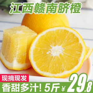 现摘现发 江西赣南脐橙新鲜水果橙子5斤香甜非永兴冰糖橙柑橘包邮新鲜橙子