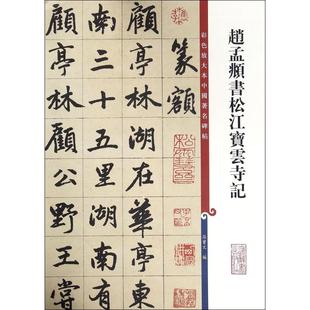 赵孟頫书松江宝云寺记 孙宝文 编 著作 书法,篆刻(新)艺术 新华书店