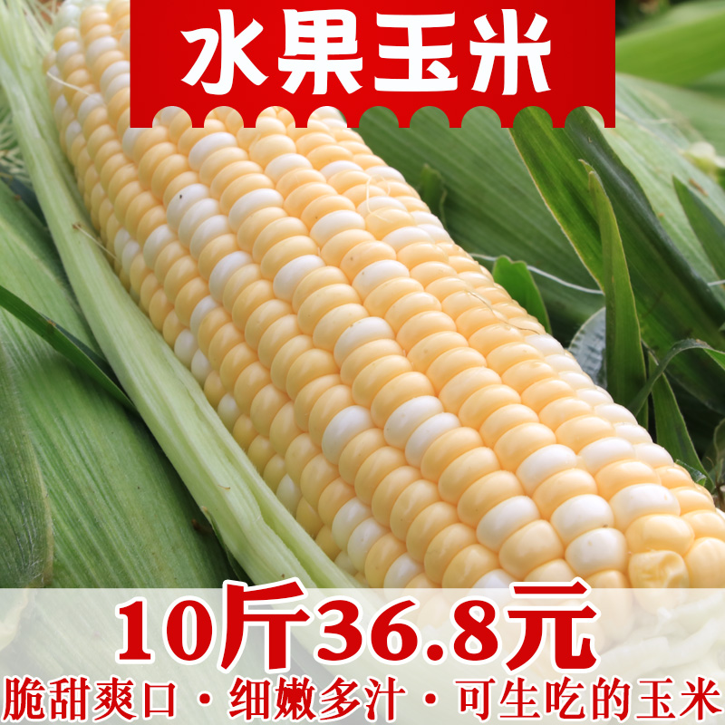 云南新鲜水果玉米现摘可生吃甜脆甜爽口玉米棒包谷嫩玉米10斤