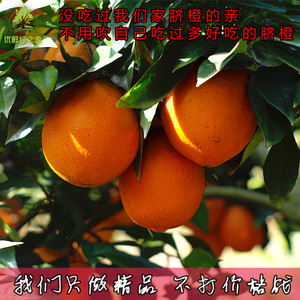 预售正宗江西特产赣南脐橙10斤精品现摘现发橙子脐橙赣州新鲜水果江西特产