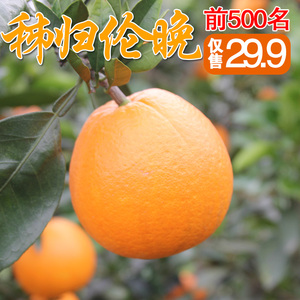 伦晚脐橙秭归当季现摘新鲜水果春橙手剥橙子5斤包邮非塔罗科血橙新鲜橙子