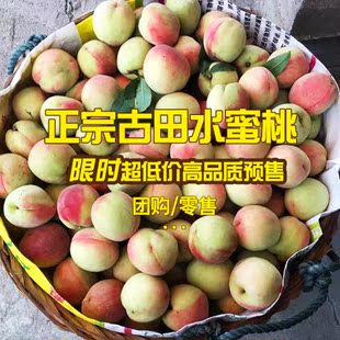 2折) 淘宝 桃子新鲜水果当季水蜜桃5斤脆毛桃非大黄桃血桃油桃枣阳砂