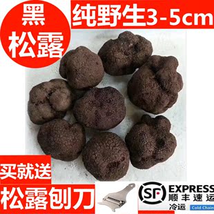 现货 新鲜松露 野生菌正品黑松露500g 特级夏松露包邮云南 鲜块菌$