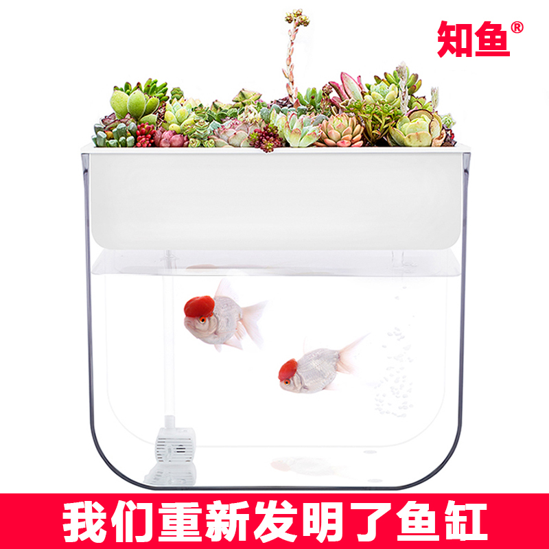 知鱼小型客厅水族箱装饰玻璃造景免换水超白生态家用桌面塑料鱼缸