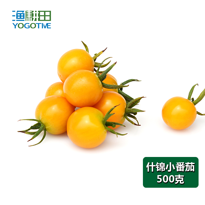 2折) 北京西红柿新鲜番茄生鲜农家自种无公害自然成熟孕妇儿童蔬菜