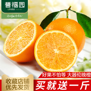 送1斤 实发4斤【誉福园】湖北秭归伦晚脐橙 新鲜水果甜橙子尝鲜装新鲜橙子