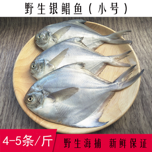 新鲜白鲳 span class=h>鱼/span>昌 span class=h>鱼/span>镜 span