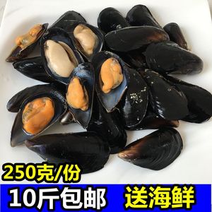 鲜活淡菜新鲜海虹野生翡翠贻贝海鲜水产贝类大青口贝蛤蜊10斤包邮