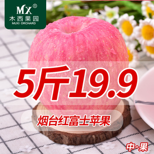 木西烟台苹果水果新鲜红富士山东栖霞特产孕妇非阿克苏冰糖心5斤红富士新鲜水果