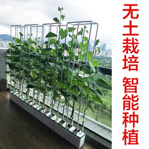 阳台室内种菜花盆机设备家庭菜园水培无土栽培有机蔬菜种植箱