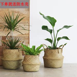 北欧海草编花篮花盆手工编织篮 span class=h>收纳篮 /span>藤编竹编